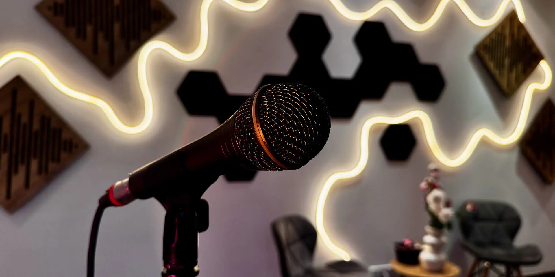 Студія вокалу Elen Voice Київ центр - професійні уроки співу на Софіївській